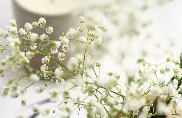 Снимок экрана 2025-06-04 в 08.59.55