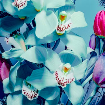 Снимок экрана 2025-06-04 в 08.14.50