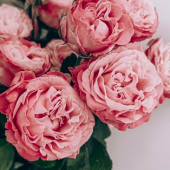 Снимок экрана 2025-06-04 в 08.15.02